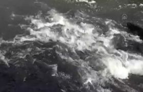 (Video) İnci kefalinin Van Gölü'nden tatlı sulara göçü 