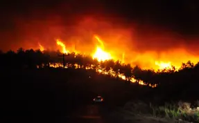 (Video) Antalya'da orman yangını