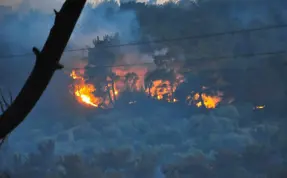 (Video) Manisa'daki orman yangını 2 gündür sürüyor