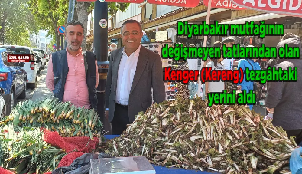 Diyarbakır'da kenger sezonu başladı