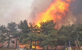 Çanakkale'deki orman yangını 52 saat sonra kontrol altına alındı