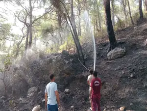 Antalya'nın Kaş ilçesinde orman yangını çıktı