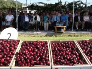 Akşener, Isparta'da kiraz festivaline katıldı