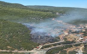 İzmir'in Kemalpaşa ilçesinde orman yangını çıktı