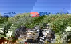 Adıyaman'da şarampole devrilen otomobildeki 1 kişi öldü, 2 kişi yaralandı