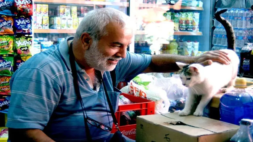 Diyarbakır'da sokak hayvanları için çağrı