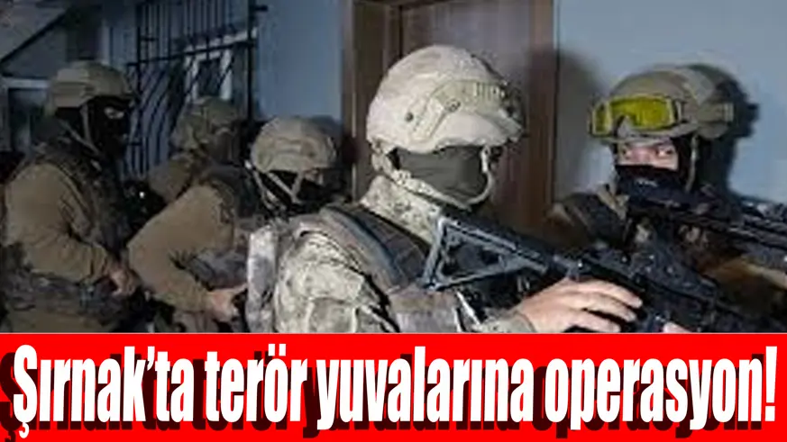 Şırnak'ta terör operasyonunda 1 kişi tutuklandı