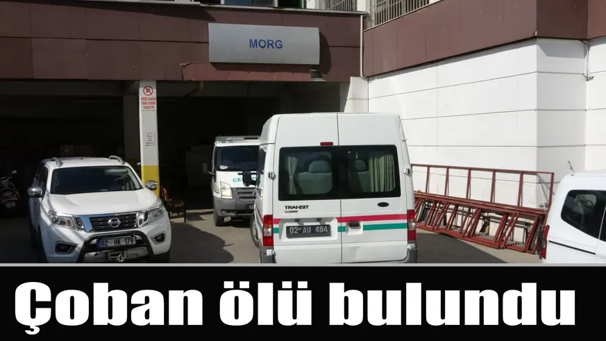 Hayvanlarını otlatmaya giden çoban ölü bulundu