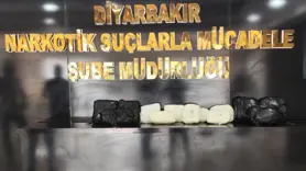 Diyarbakır Havalimanı'nda 11 kilo 400 gram skunk ele geçirildi