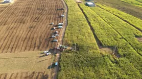 Şanlıurfa'da tarlalarda 15 kayıt dışı trafo tespit edildi