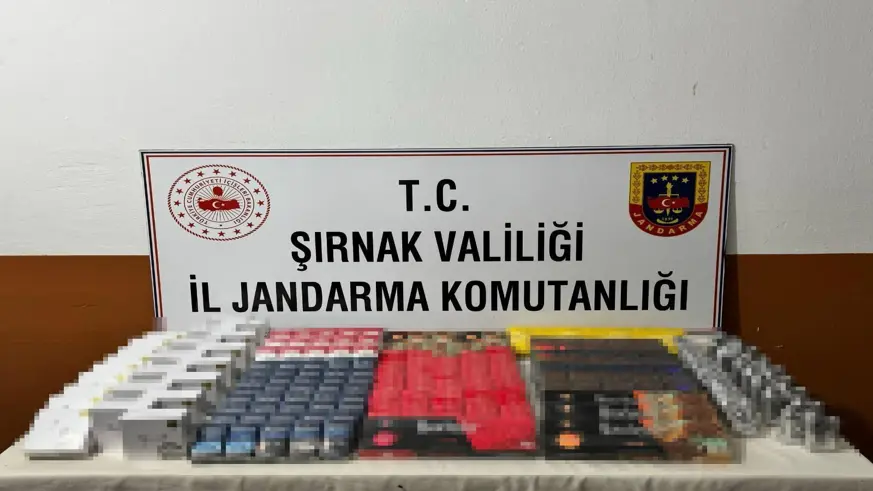 Şırnak’ta 11 şüpheliye işlem yapıldı