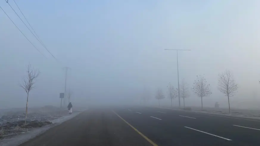 Diyarbakır'da yoğun sis etkisini sürdürüyor: Hava ve karayollarında aksama!