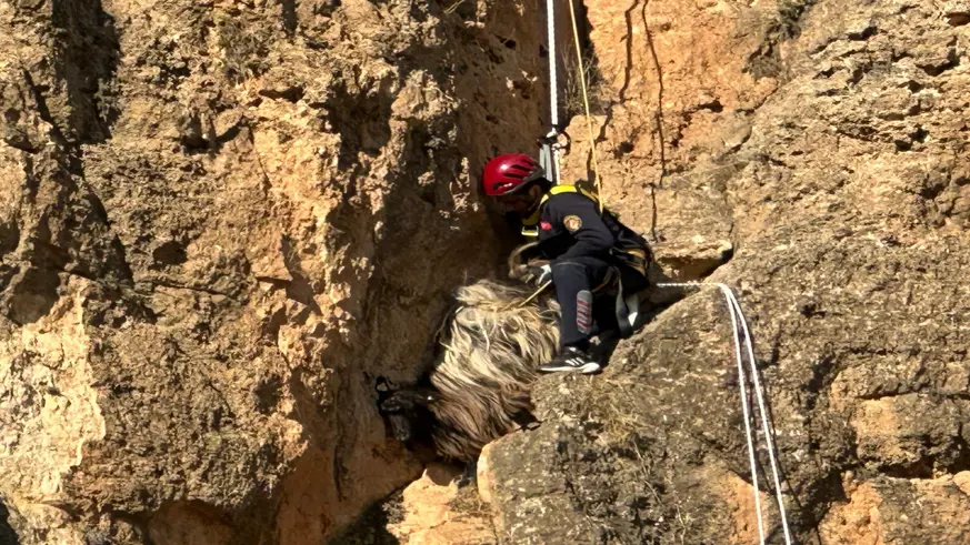 Kayalıklarda mahsur kalan keçi böyle kurtarıldı