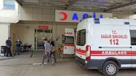 Şanlıurfa'da devrilen otomobildeki 5 kişi yaralandı