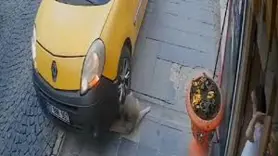 Mardin’de taksici kaldırımda bulunan köpeği ezdi
