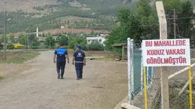 Gaziantep’te iki mahallede kuduz alarmı; Karantina başladı