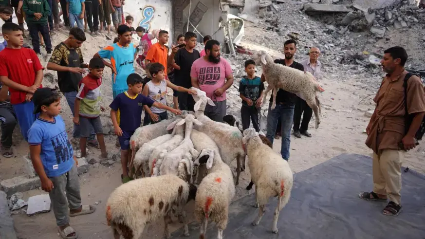 Gazzeliler enkaz üzerinde kurbanlarını kesti