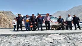 Kayalıklarda mahsur kalan kurbanlık keçiyi AFAD ekipleri kurtardı