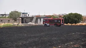 Şanlıurfa'da çıkan yangında yaklaşık 40 dönüm buğday ekili alan yandı