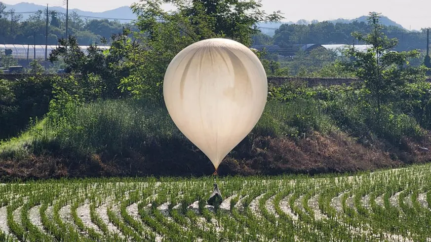 Kuzey ve Güney Kore'de balon savaşları! 