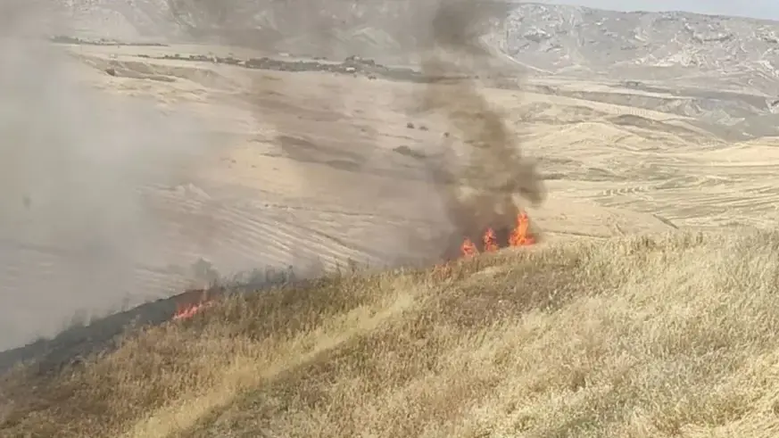 Buğday ekili arazi kül oldu, tarla sahibi biçerdöver şoförünü darp etti