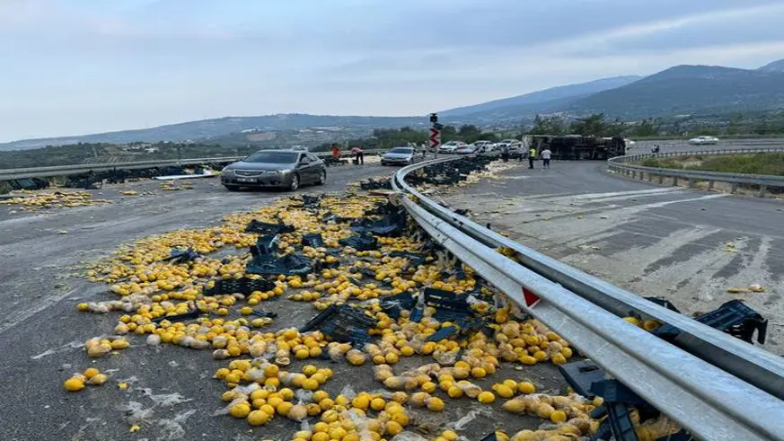 Limon yüklü kamyon devrildi: 6 yaralı
