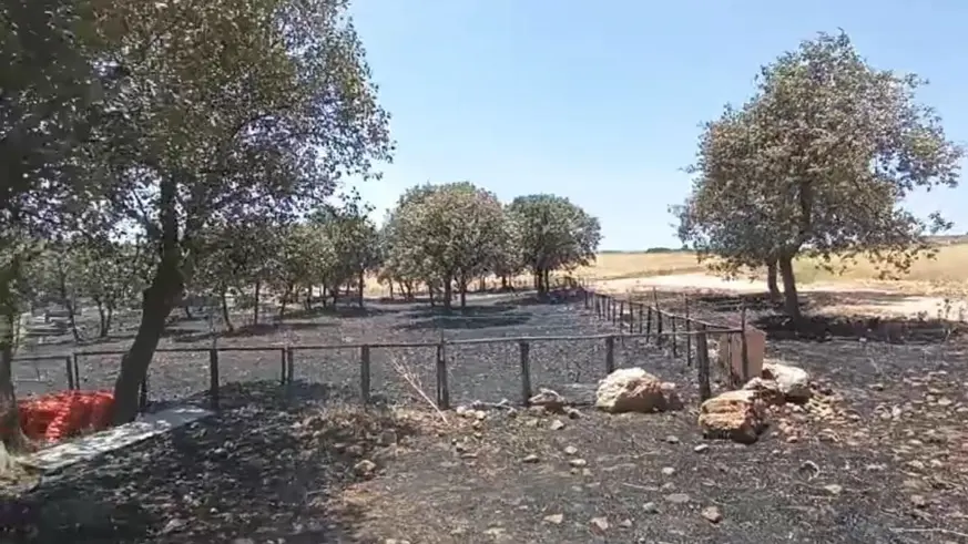  Diyarbakır ve Mardin'deki yangının çıkış sebebine ilişkin her ihtimal araştırılıyor