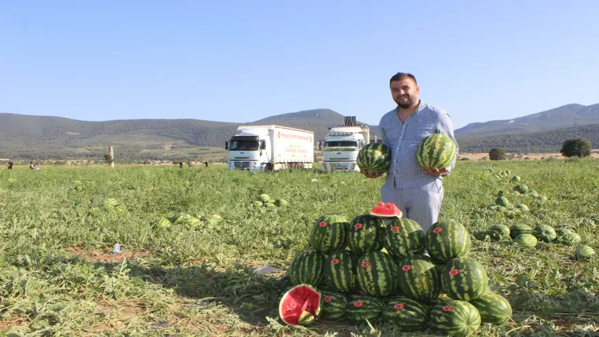 Diyarbakır'dan giden tarım işçileri için Osmaneli'nde hasat zamanı