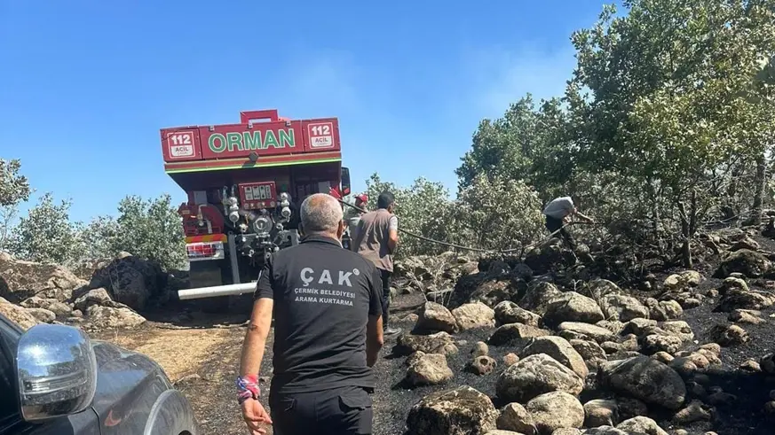 Diyarbakır'da orman yangını: Havadan ve karadan müdahale ile söndürüldü