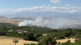 Elazığ'da yangında 45 dönüm ormanlık alan zarar gördü