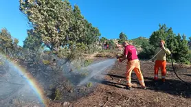 Bingöl'de ormanlık alanda çıkan yangın söndürüldü