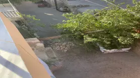  Diyarbakır’da fırtınada ağaç kamyonetin üstüne devrildi