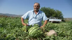 Adana'nın sıcağı Aydın'a yaradı