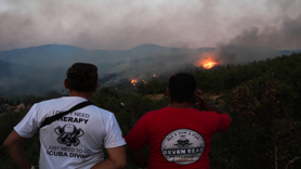 İzmir'in 5 ilçesinde orman yangını! 