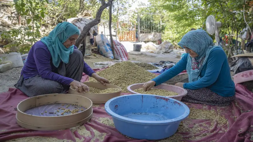 Tunceli'de 1500 dekarda üretilen tescilli dut, köylülerin geçim kaynağı oldu