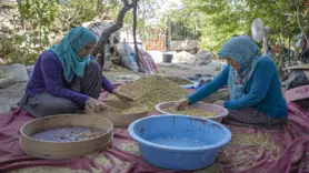Tunceli'de 1500 dekarda üretilen tescilli dut, köylülerin geçim kaynağı oldu