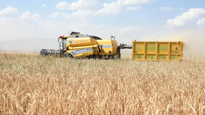 Tarım ÜFE haziranda aylık bazda yüzde 1,95 arttı