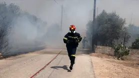 Yunanistan'da orman yangınları nedeniyle bir köy tahliye edildi