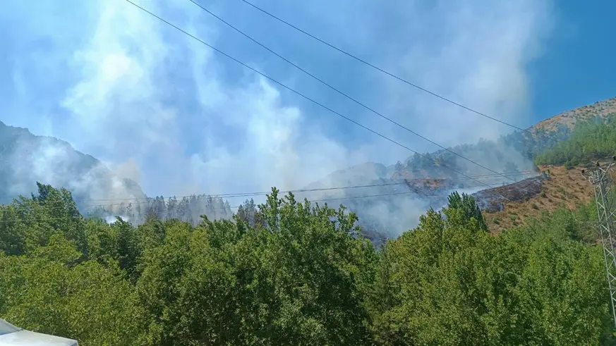 Kahramanmaraş'ta orman yangını: Vatandaşlar tahliye ediliyor