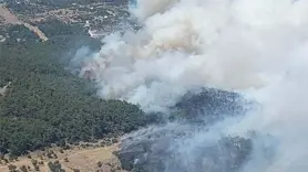 İzmir'de orman yangını