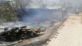 Aydın'daki yangınların bilançosu açıklandı