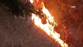 Tunceli’de ağaçlık alanda yangın söndürüldü