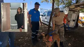 Diyarbakır’da kayıp 8 yaşındaki kız, iz takip köpeği ve dron desteğiyle aranıyor