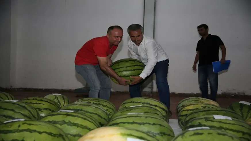 Diyarbakır karpuzları özel olarak korunuyor