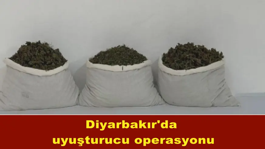 Diyarbakır'da uyuşturucu operasyonu