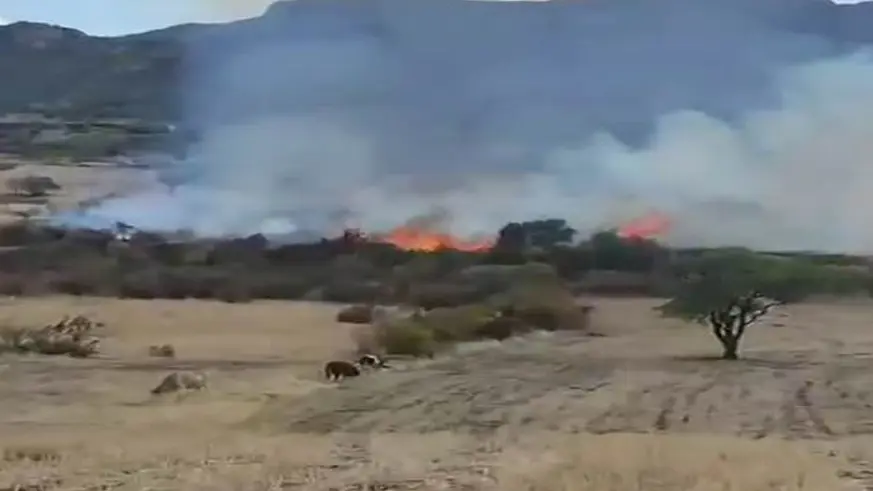 Diyarbakır'da otluk yangını