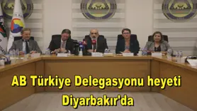 AB Türkiye Delegasyonu heyeti  Diyarbakır'da