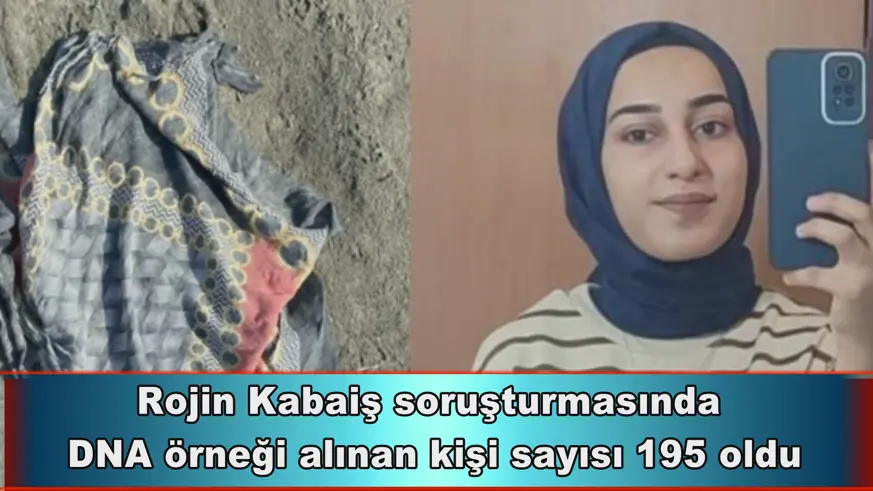 Rojin Kabaiş soruşturması