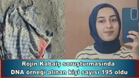 Rojin Kabaiş soruşturması