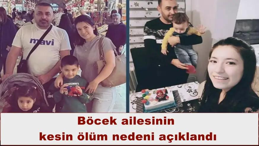 Böcek ailesinin  kesin ölüm nedeni açıklandı